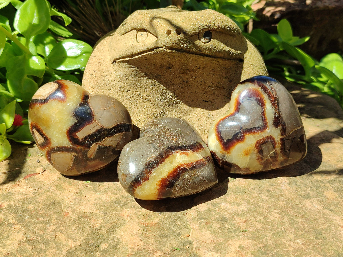 Polished Large Septerye Hearts - Sold Per Item - From Madagascar - Toprock Gemstones and Minerals 
