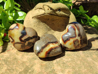 Polished Large Septerye Hearts - Sold Per Item - From Madagascar