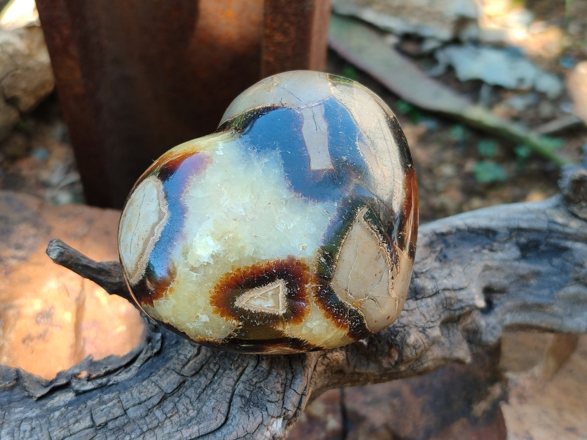 Polished Large Septerye Hearts - Sold Per Item - From Madagascar - Toprock Gemstones and Minerals 