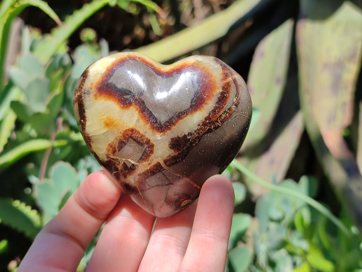 Polished Large Septerye Hearts - Sold Per Item - From Madagascar - Toprock Gemstones and Minerals 