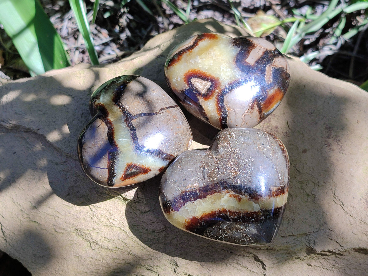 Polished Large Septerye Hearts - Sold Per Item - From Madagascar - Toprock Gemstones and Minerals 