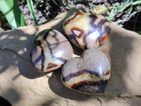 Polished Large Septerye Hearts - Sold Per Item - From Madagascar