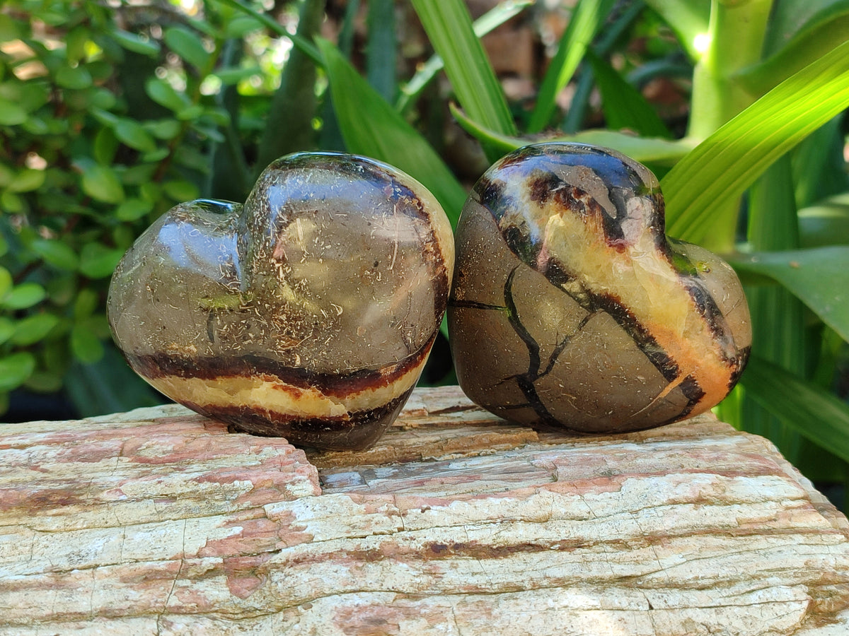 Polished Large Septerye Hearts - Sold Per Item - From Madagascar - Toprock Gemstones and Minerals 