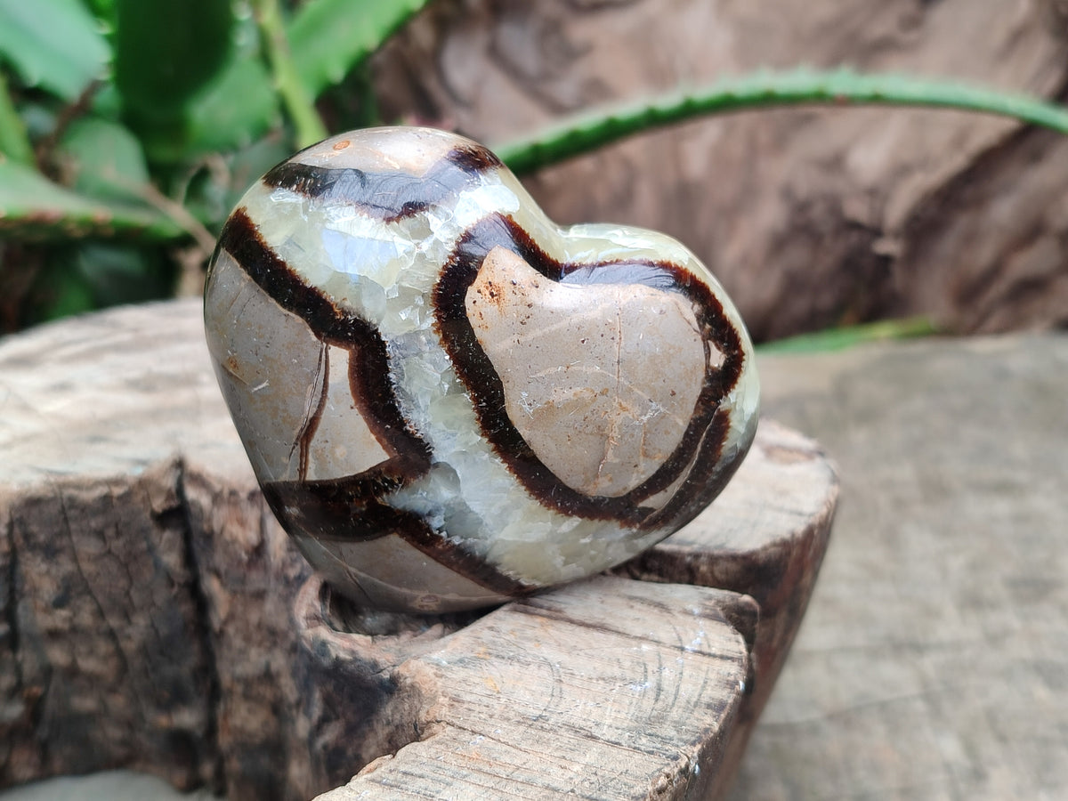 Polished Large Septerye Hearts - Sold Per Item - From Madagascar - Toprock Gemstones and Minerals 