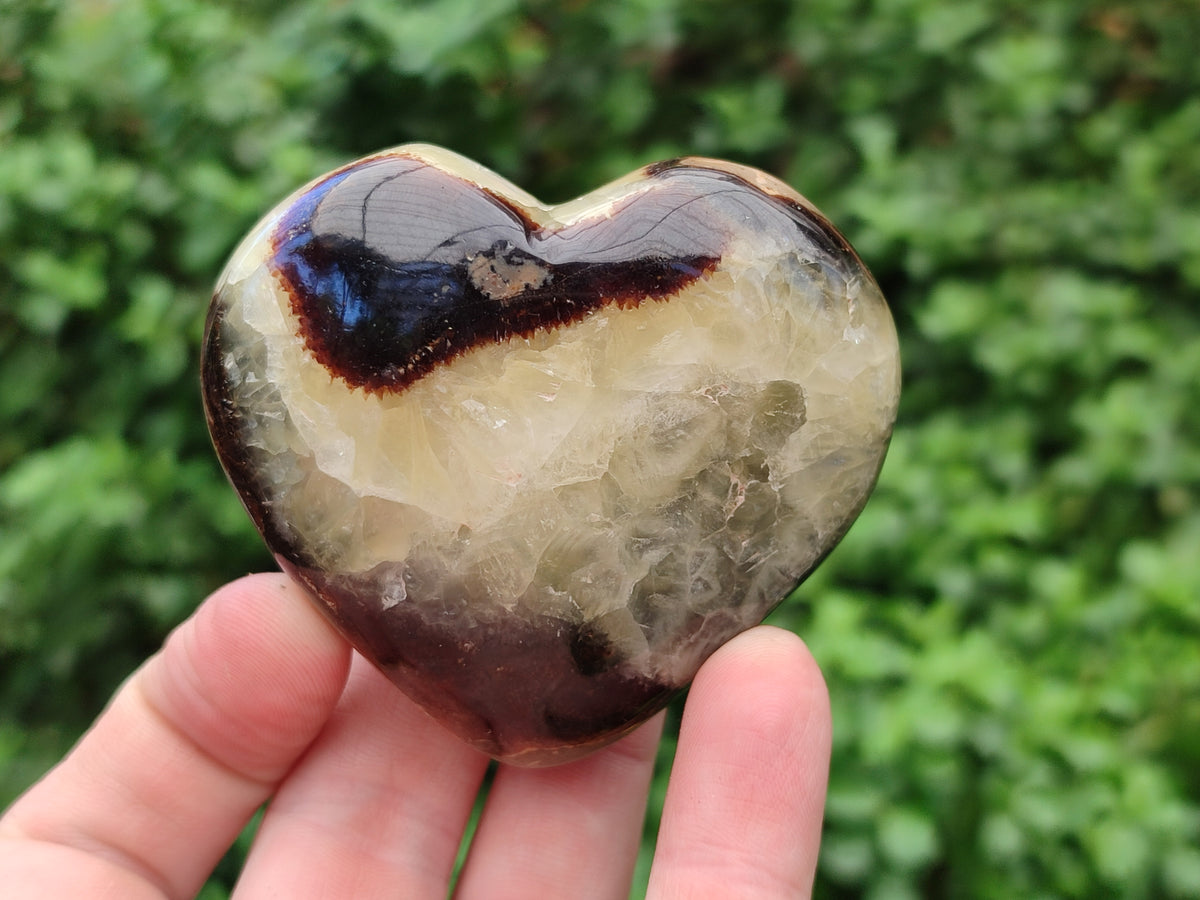 Polished Large Septerye Hearts - Sold Per Item - From Madagascar - Toprock Gemstones and Minerals 