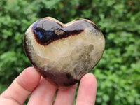 Polished Large Septerye Hearts - Sold Per Item - From Madagascar
