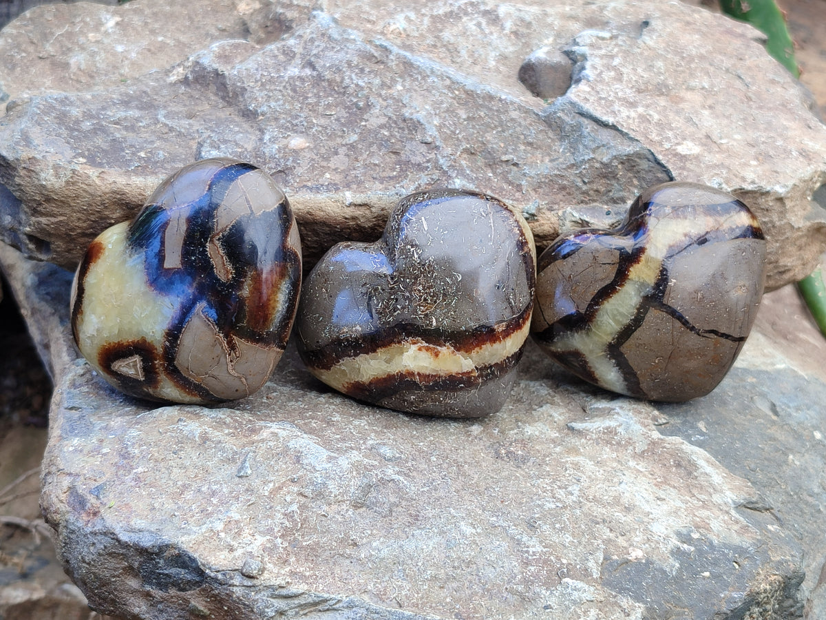 Polished Large Septerye Hearts - Sold Per Item - From Madagascar - Toprock Gemstones and Minerals 