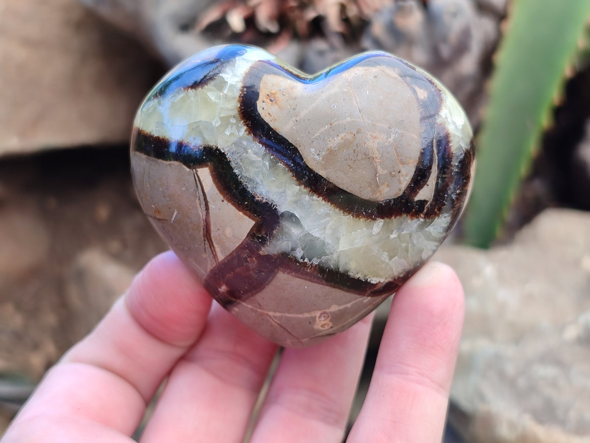 Polished Large Septerye Hearts - Sold Per Item - From Madagascar - Toprock Gemstones and Minerals 