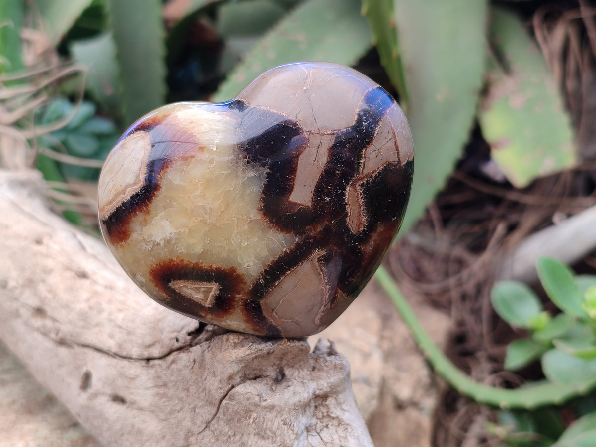 Polished Large Septerye Hearts - Sold Per Item - From Madagascar - Toprock Gemstones and Minerals 
