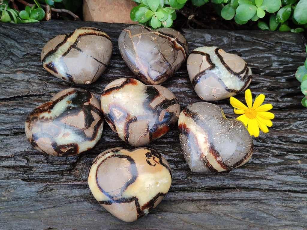 Polished Large Septerye Hearts - Sold Per Item - From Madagascar - Toprock Gemstones and Minerals 