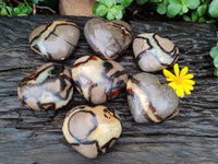 Polished Large Septerye Hearts - Sold Per Item - From Madagascar