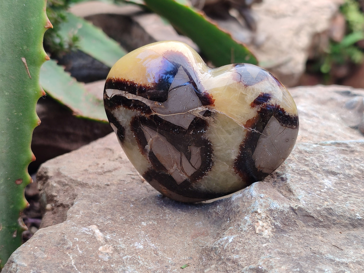 Polished Large Septerye Hearts - Sold Per Item - From Madagascar - Toprock Gemstones and Minerals 