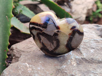 Polished Large Septerye Hearts - Sold Per Item - From Madagascar