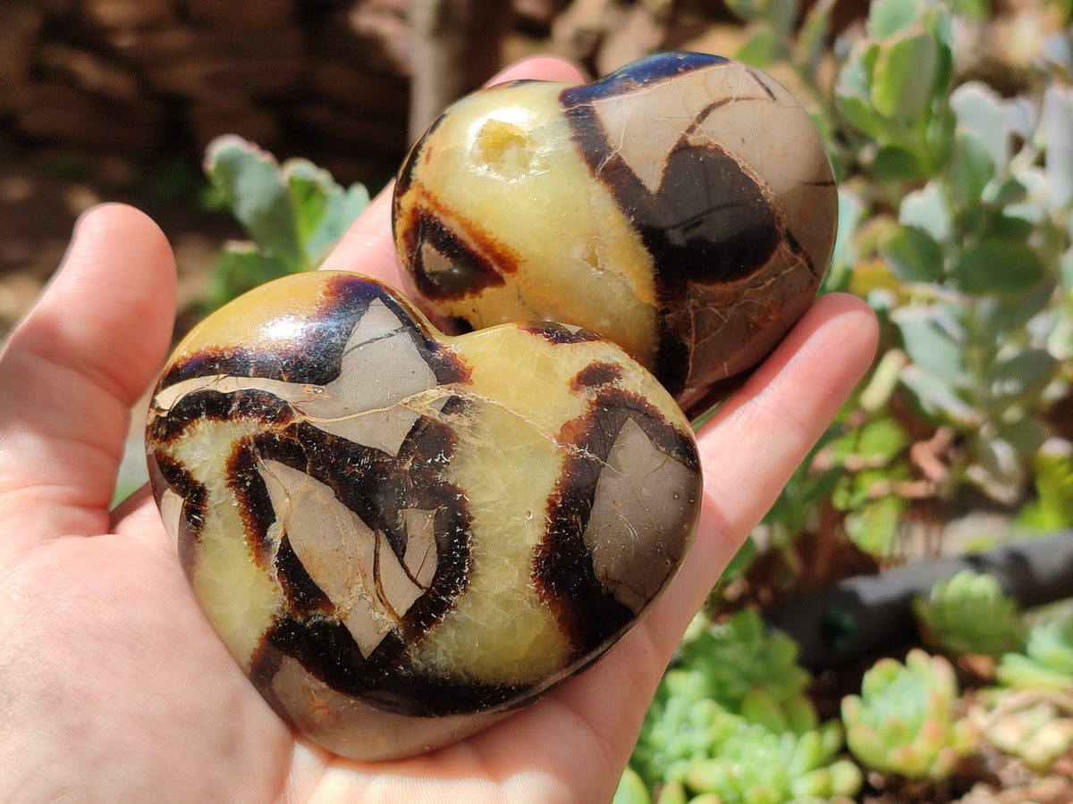 Polished Large Septerye Hearts - Sold Per Item - From Madagascar - Toprock Gemstones and Minerals 
