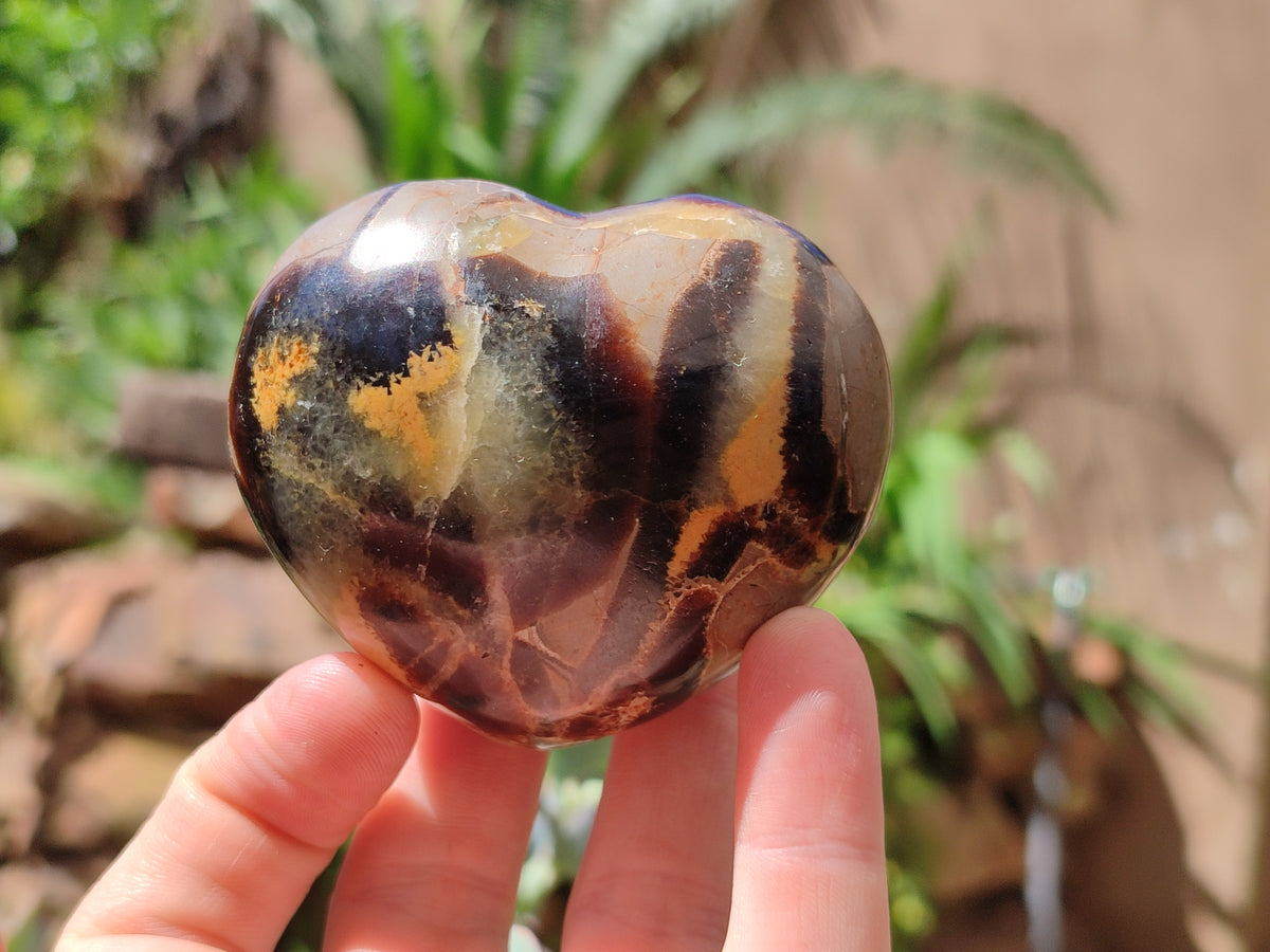 Polished Large Septerye Hearts - Sold Per Item - From Madagascar - Toprock Gemstones and Minerals 