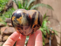 Polished Large Septerye Hearts - Sold Per Item - From Madagascar