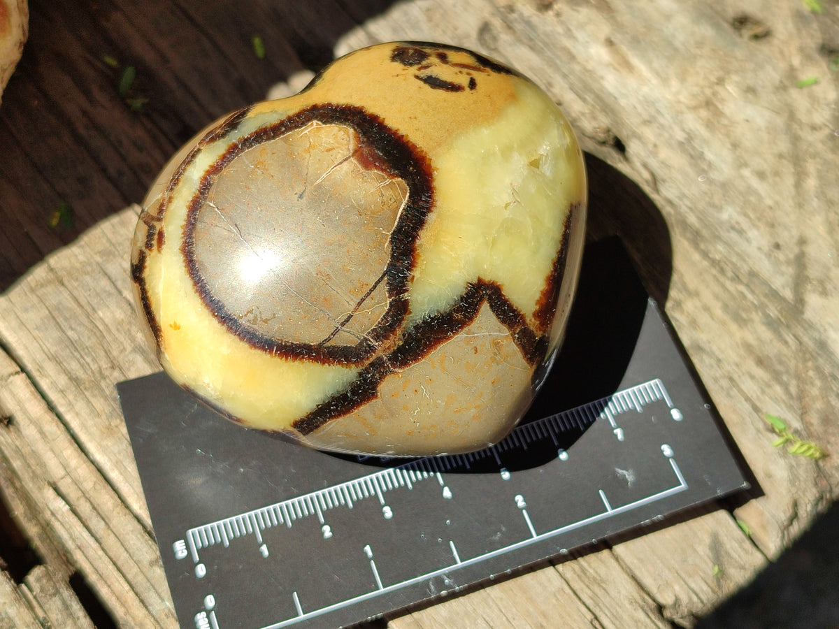 Polished Large Septerye Hearts - Sold Per Item - From Madagascar - Toprock Gemstones and Minerals 