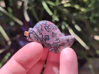 Hand Made Mixed Box Set of 12 Gemstone Fish Pendants with Gold Clasp - Sold Per Box - From World - Toprock Gemstones and Minerals 