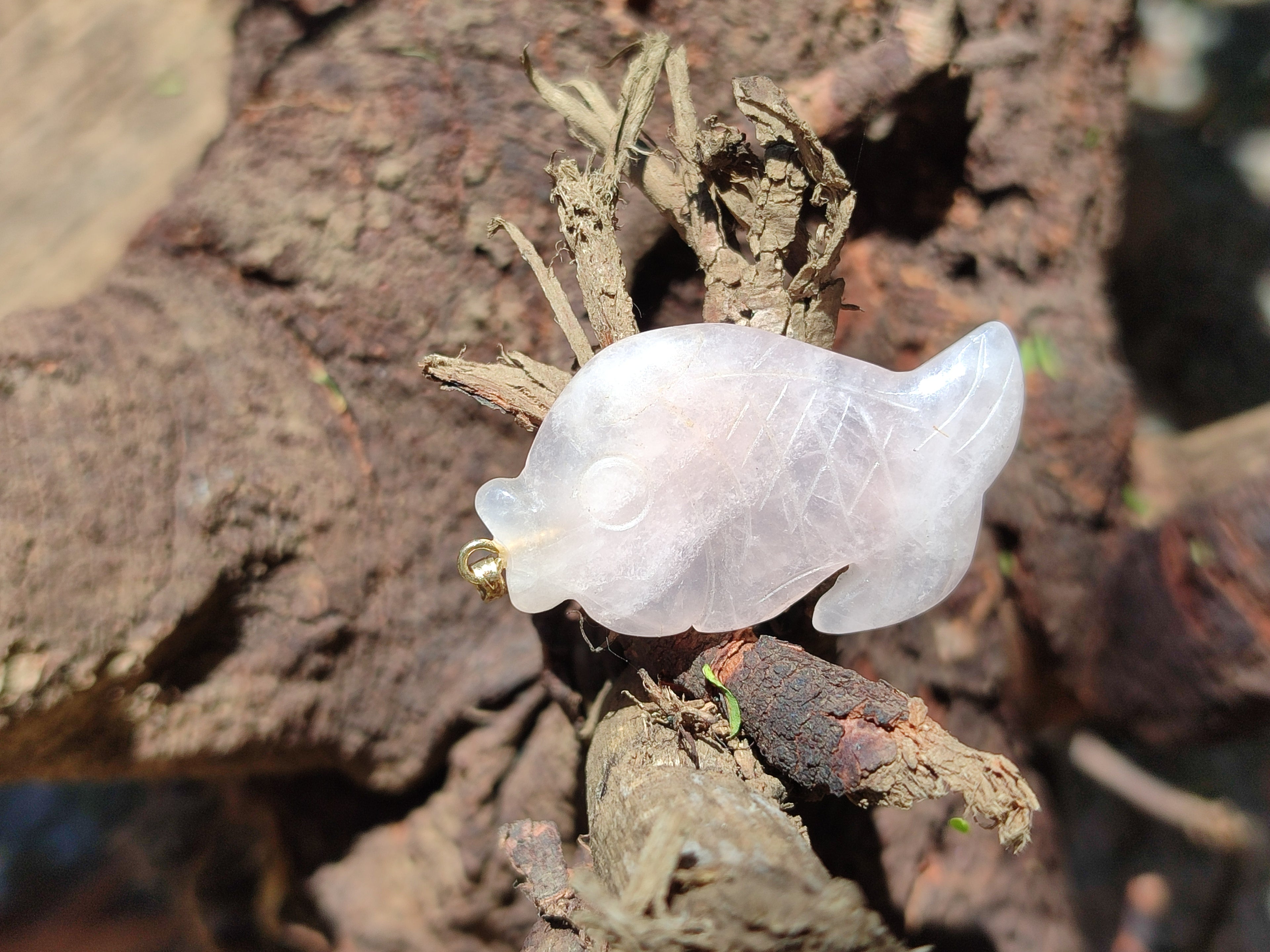 Hand Made Mixed Box Set of 12 Gemstone Fish Pendants with Gold Clasp - Sold Per Box - From World - Toprock Gemstones and Minerals 