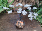 Hand Made Quartz Tumble Chip & Wire Wrap Tree - Sold Per Item - From South Africa - Toprock Gemstones and Minerals 