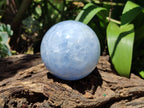 Polished Large Blue Calcite Spheres - Sold per Item - From Madagascar - Toprock Gemstones and Minerals 