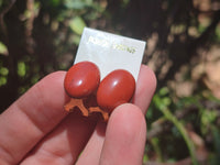 Polished Pair of Red Jasper Cabochon Stud Clip Earrings - Sold per Pair - From South Africa - Toprock Gemstones and Minerals 
