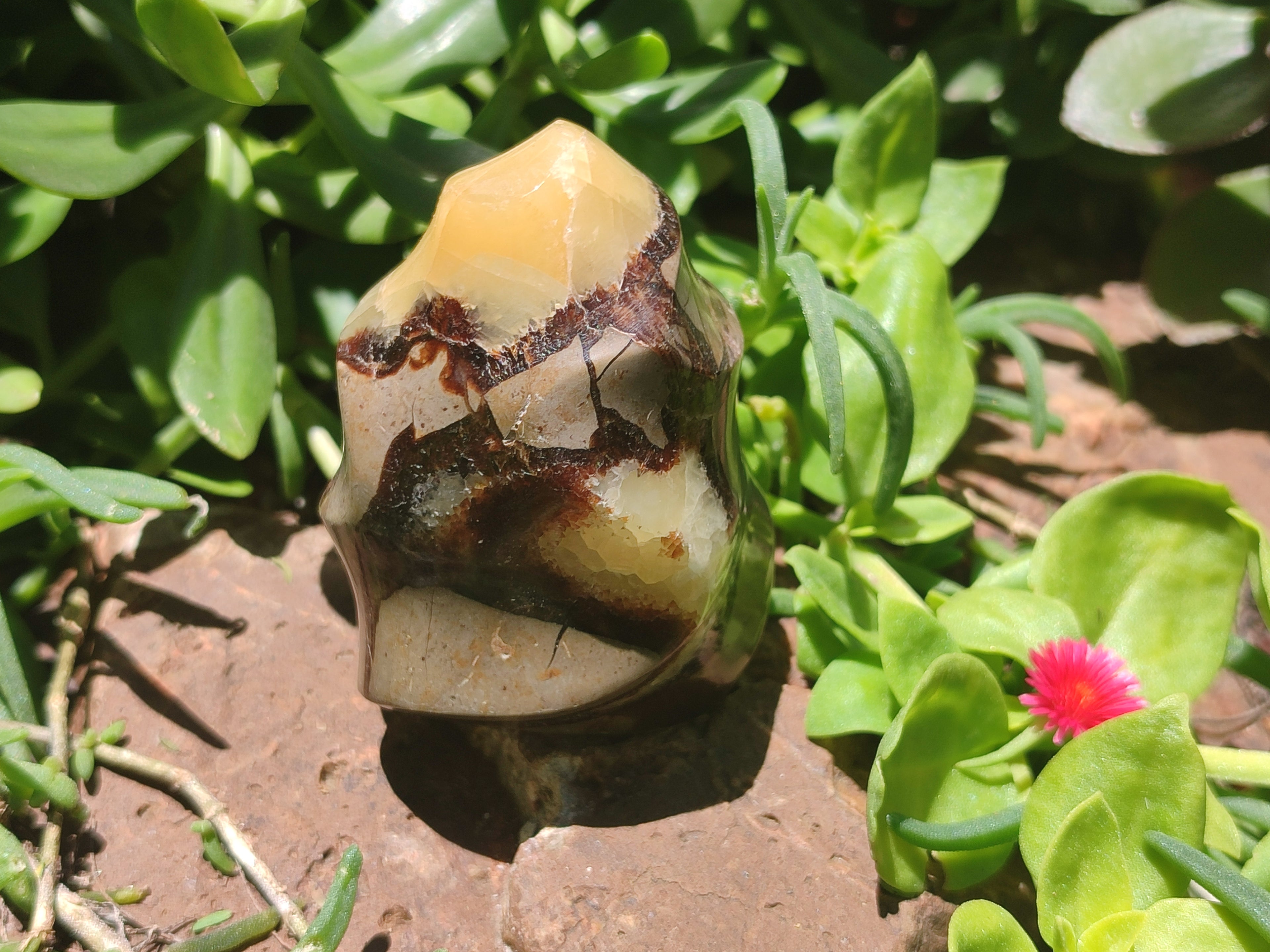 Polished Septerye Flame Sculptures x 6 From Madagascar - Toprock Gemstones and Minerals 