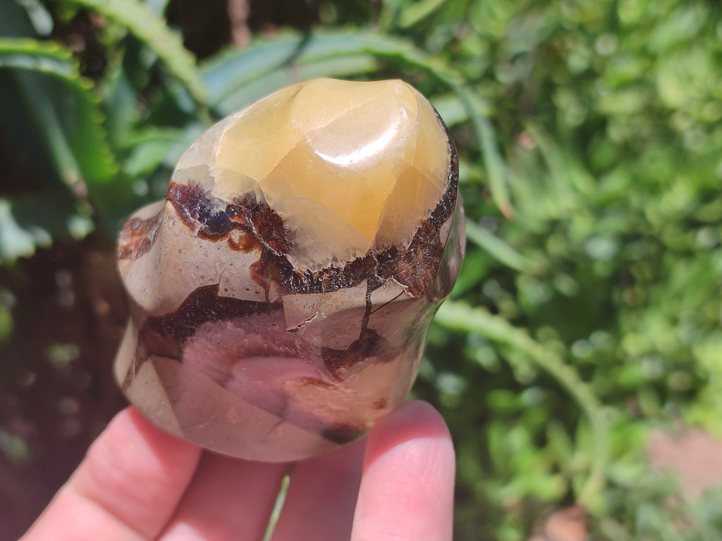 Polished Septerye Flame Sculptures x 6 From Madagascar - Toprock Gemstones and Minerals 