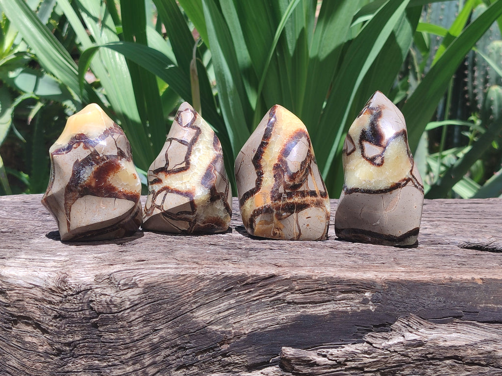 Polished Septerye Flame Sculptures x 6 From Madagascar - Toprock Gemstones and Minerals 