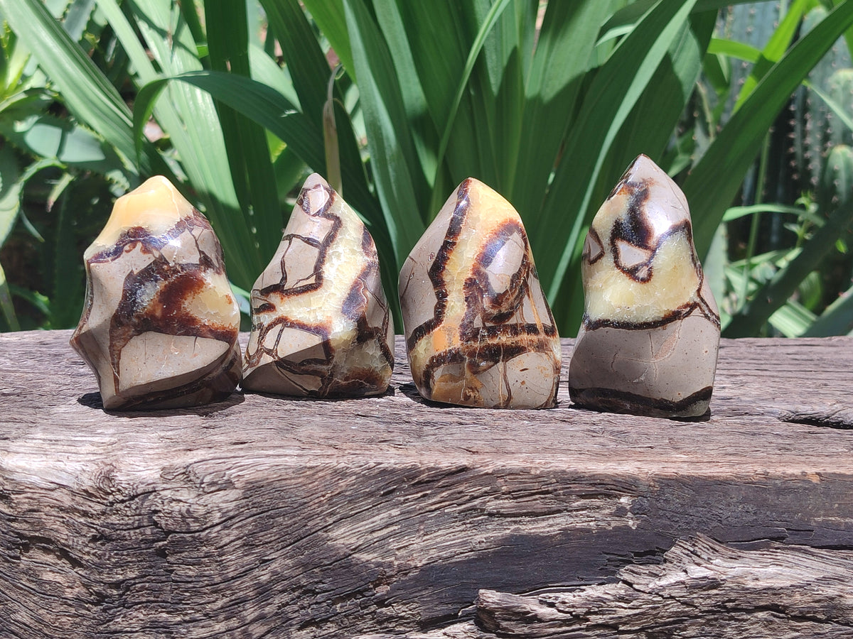 Polished Septerye Flame Sculptures x 6 From Madagascar - Toprock Gemstones and Minerals 