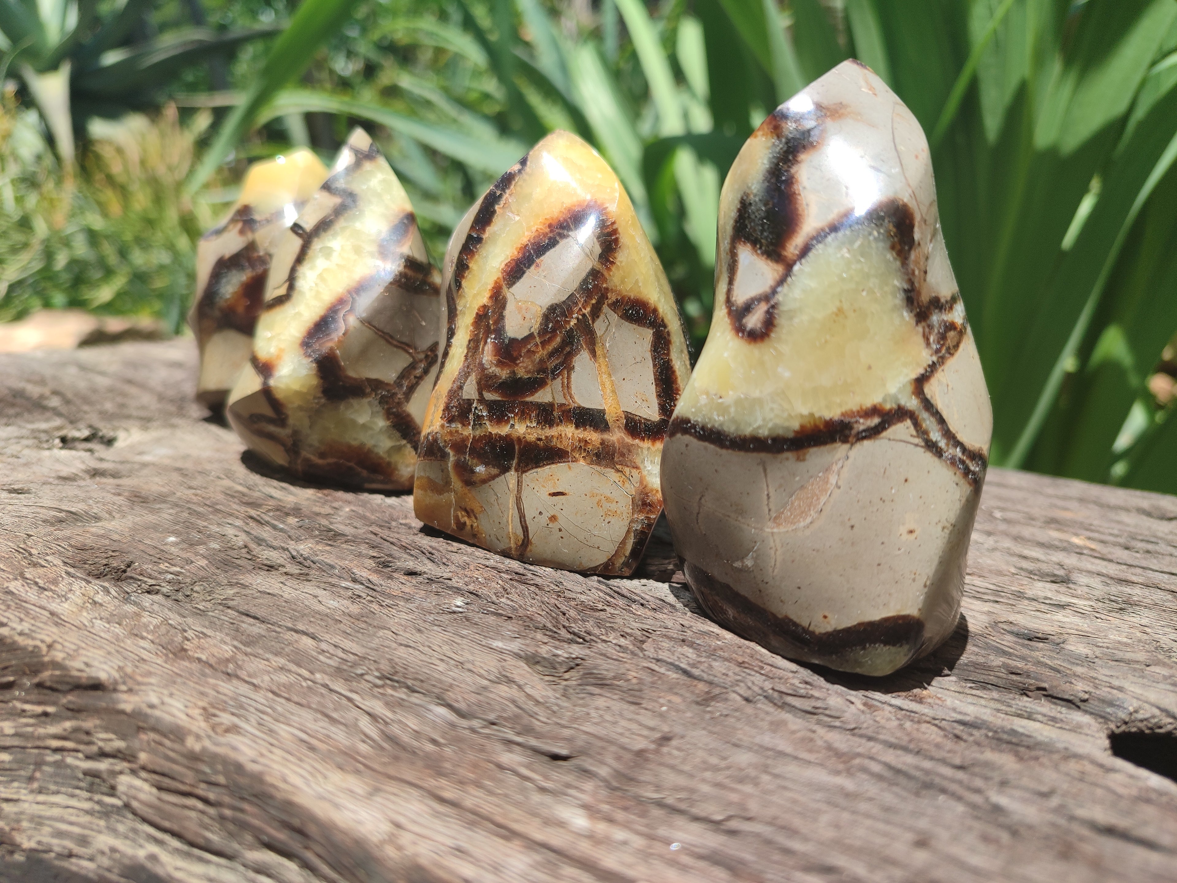 Polished Septerye Flame Sculptures x 6 From Madagascar - Toprock Gemstones and Minerals 