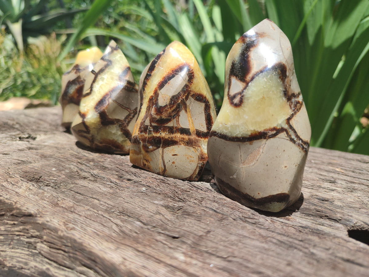 Polished Septerye Flame Sculptures x 6 From Madagascar - Toprock Gemstones and Minerals 