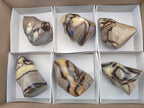 Polished Septerye Flame Sculptures x 6 From Madagascar - Toprock Gemstones and Minerals 