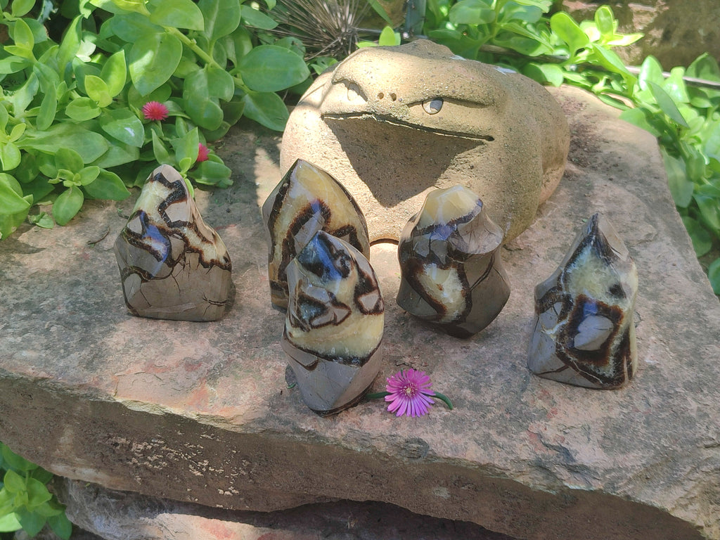 Polished Septerye Flame Sculptures x 6 From Madagascar - Toprock Gemstones and Minerals 