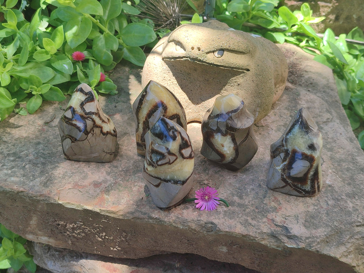 Polished Septerye Flame Sculptures x 6 From Madagascar - Toprock Gemstones and Minerals 