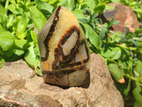 Polished Septerye Flame Sculptures x 6 From Madagascar - Toprock Gemstones and Minerals 