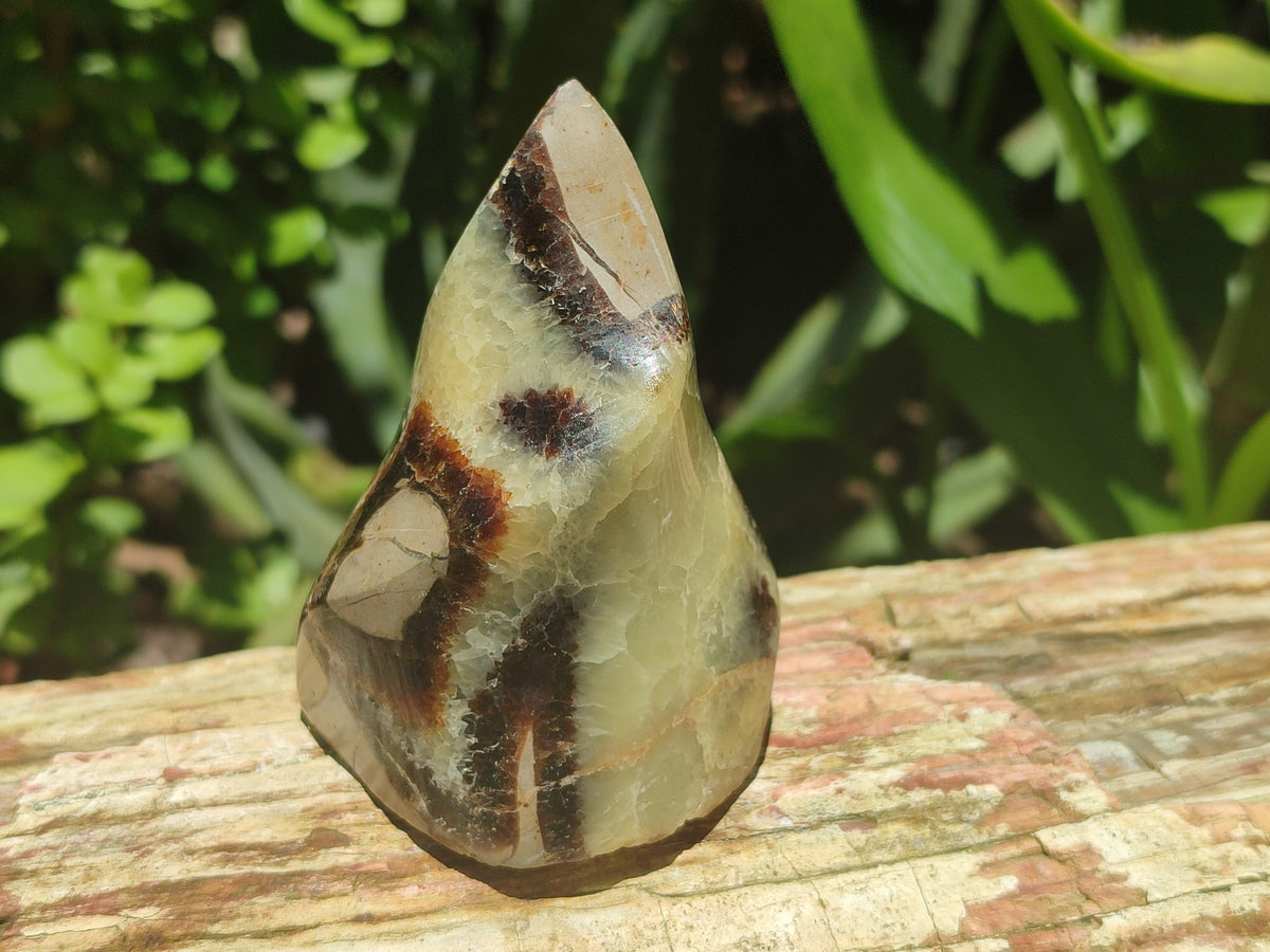 Polished Septerye Flame Sculptures x 6 From Madagascar - Toprock Gemstones and Minerals 