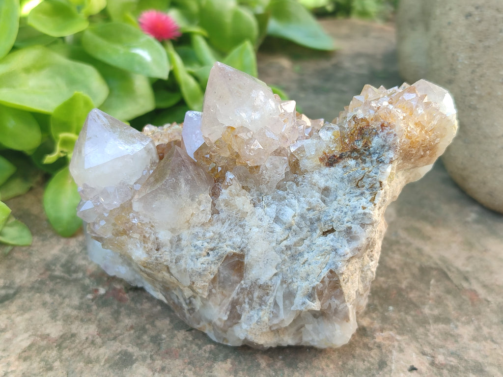 Natural Spirit Quartz Clusters x 7 From Boekenhouthoek, South Africa - Toprock Gemstones and Minerals 