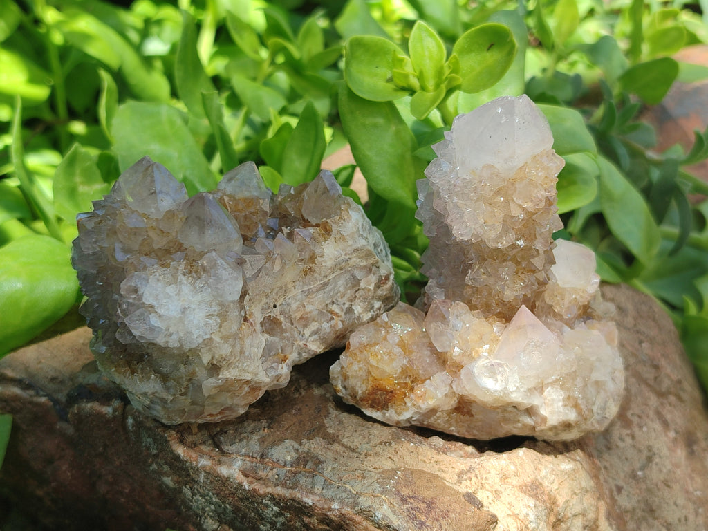 Natural Spirit Quartz Clusters x 7 From Boekenhouthoek, South Africa - Toprock Gemstones and Minerals 