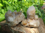 Natural Spirit Quartz Clusters x 7 From Boekenhouthoek, South Africa - Toprock Gemstones and Minerals 