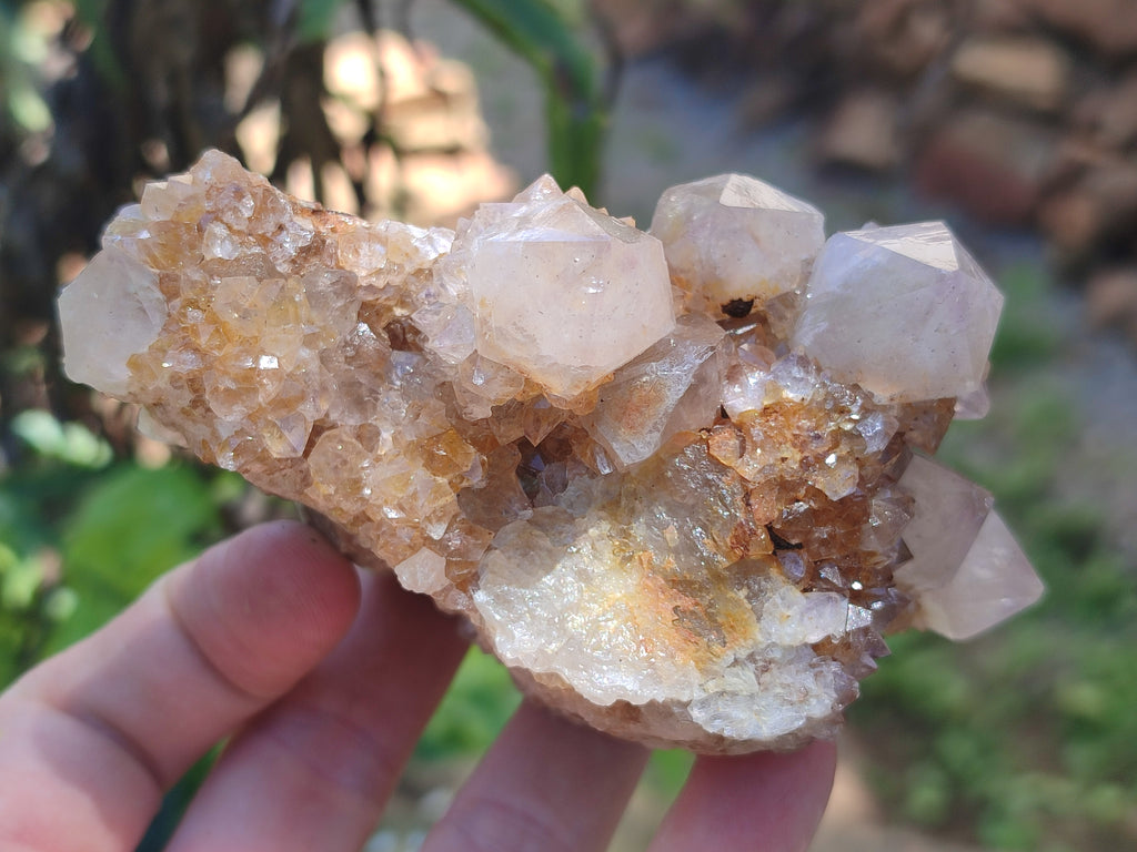 Natural Spirit Quartz Clusters x 7 From Boekenhouthoek, South Africa - Toprock Gemstones and Minerals 