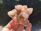 Natural Spirit Quartz Clusters x 7 From Boekenhouthoek, South Africa - Toprock Gemstones and Minerals 