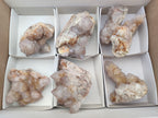 Natural Spirit Quartz Clusters x 7 From Boekenhouthoek, South Africa - Toprock Gemstones and Minerals 