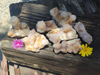 Natural Spirit Quartz Clusters x 7 From Boekenhouthoek, South Africa - Toprock Gemstones and Minerals 