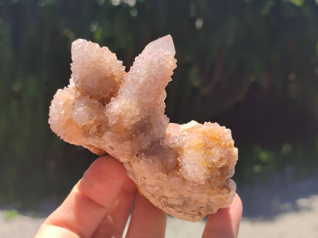 Natural Spirit Quartz Clusters x 7 From Boekenhouthoek, South Africa - Toprock Gemstones and Minerals 