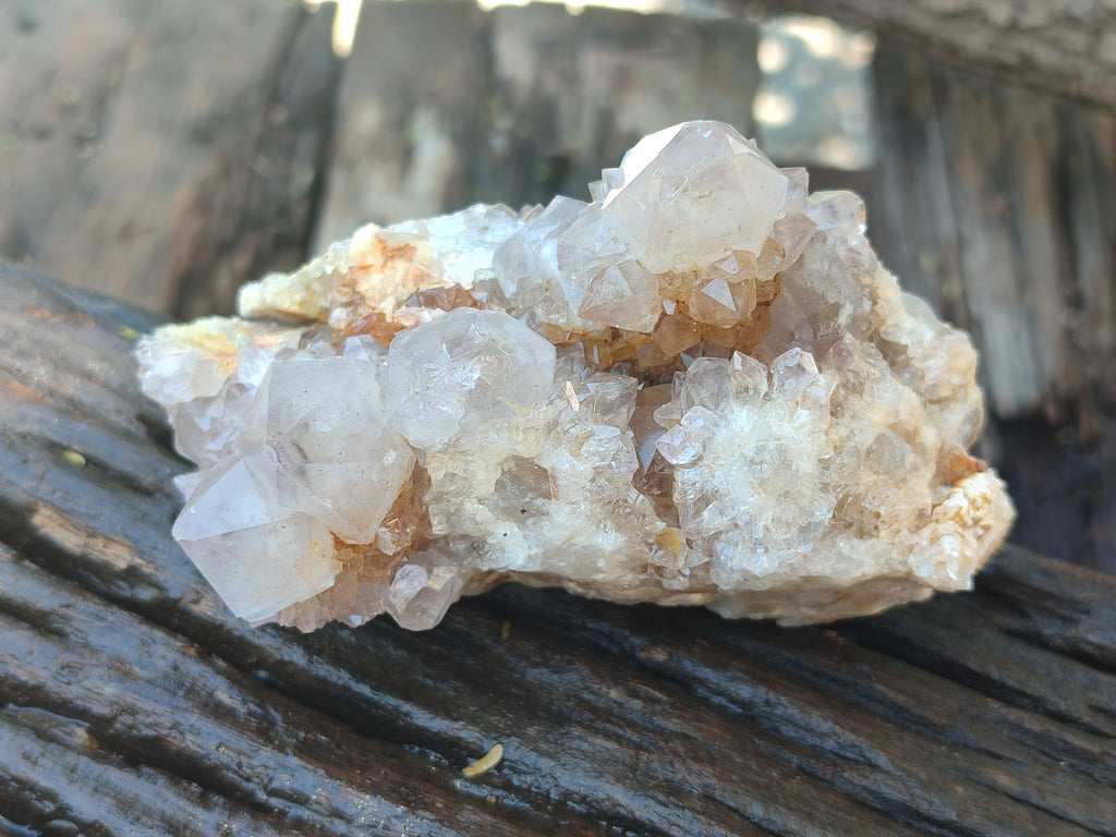 Natural Spirit Quartz Clusters x 7 From Boekenhouthoek, South Africa - Toprock Gemstones and Minerals 