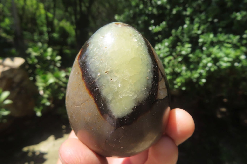Polished Large Septerye Eggs - Sold Per Item - From Madagascar - Toprock Gemstones and Minerals 