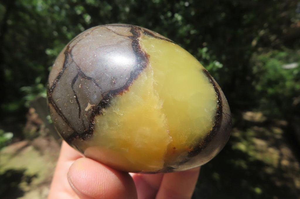 Polished Large Septerye Eggs - Sold Per Item - From Madagascar - Toprock Gemstones and Minerals 