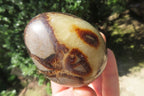 Polished Large Septerye Eggs - Sold Per Item - From Madagascar - Toprock Gemstones and Minerals 
