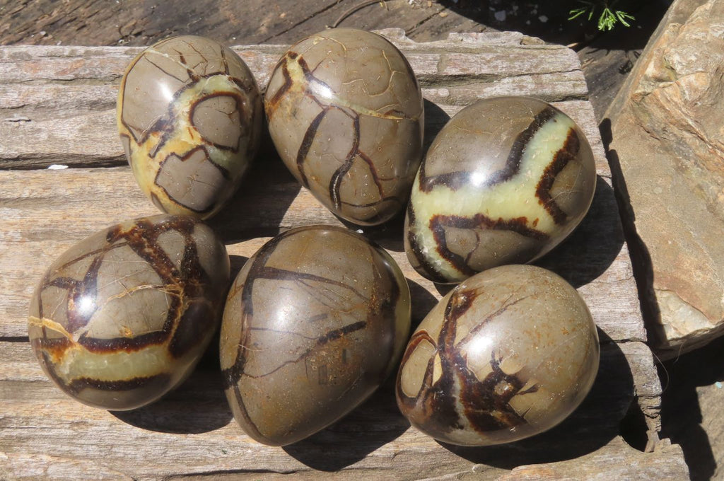Polished Large Septerye Eggs - Sold Per Item - From Madagascar - Toprock Gemstones and Minerals 